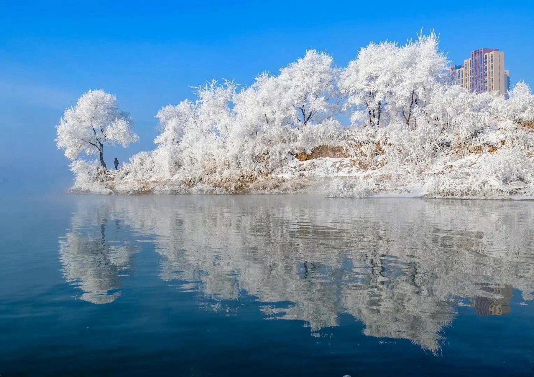 吉林记忆，青春足迹的吉林篇章