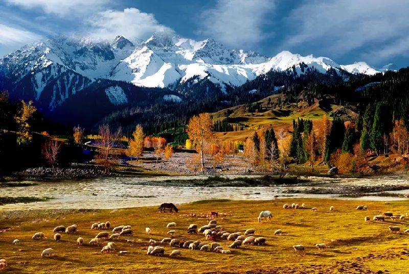 新疆，神秘美丽的土地🔥🌄